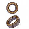 NSK 6204 Zz 6027 Zz 6203-2RS 6309 6204-Rz 6022 6901 3810 2RS Hf Price List Bearing #1 small image